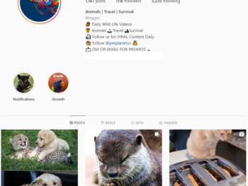 110K Wildlife Animals Instagram Account for Sale