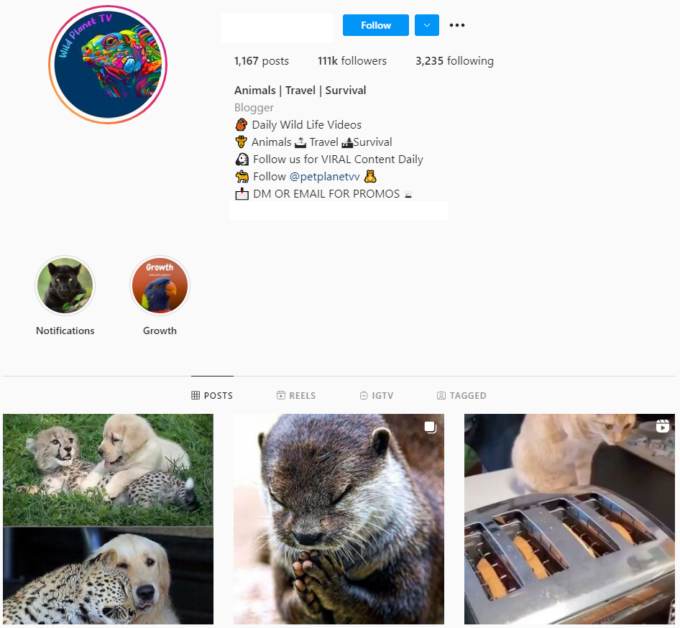 110K Wildlife Animals Instagram Account for Sale