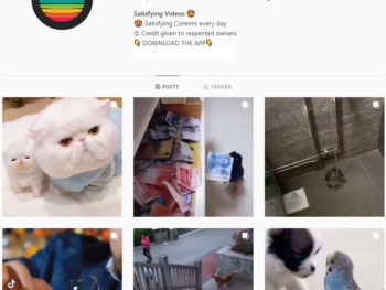 20k Viral Satisfying Instagram Account for Sale