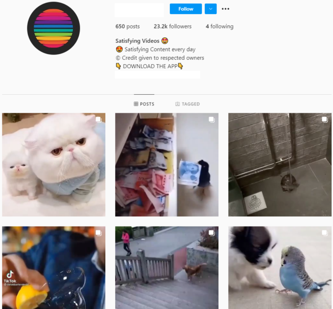 20k Viral Satisfying Instagram Account for Sale