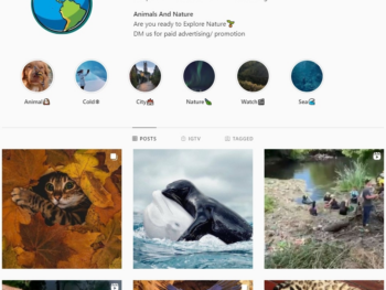 199K Animals / Nature Instagram Account for Sale