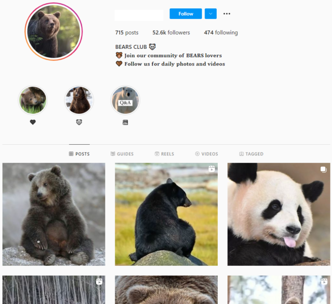 Buy Bears Animals Instagram Account with 50K Followers