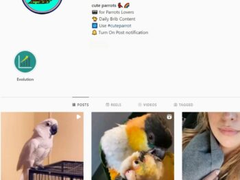 Buy Parrots Instagram Account with 32K Followers
