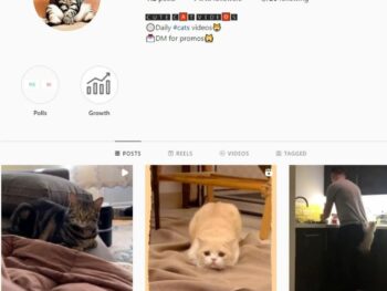 Buy Pets Cats Instagram Account with 74K Followers