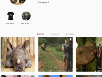 40K Animal Rhinoceros Instagram Account for Sale