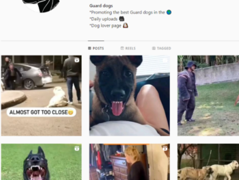 100K Guard Dogs Instagram Account for Sale