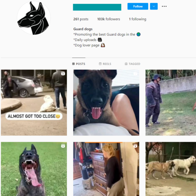 100K Guard Dogs Instagram Account for Sale