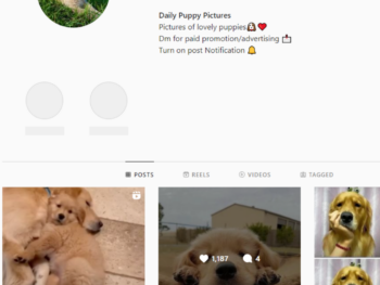 190K Puppy Dogs Instagram Account for Sale