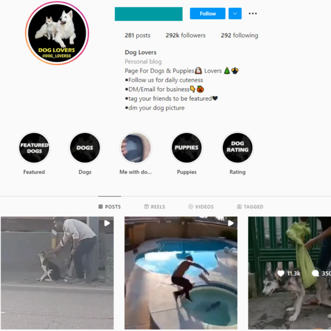 290K Pets Dogs Instagram Account for Sale