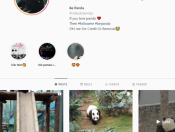 57K Animals Panda Instagram Account for Sale