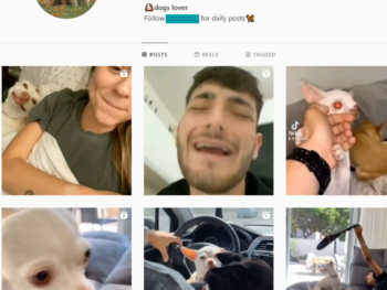 90K Dog Lover Instagram Account for Sale