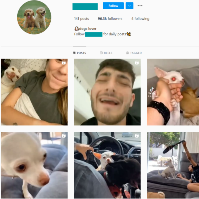 90K Dog Lover Instagram Account for Sale