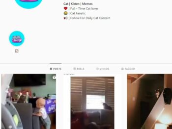 22K Cat Memes Instagram Account for Sale