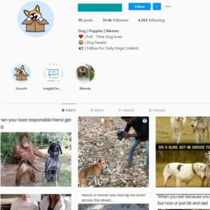 30K Dog Puppy Memes Instagram Account for Sale