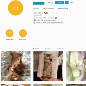 1K Cats Kittens Instagram Account for Sale