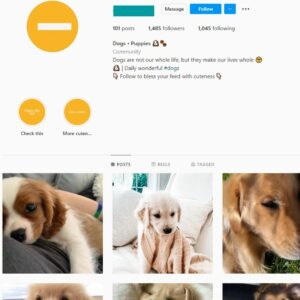 1K Dogs Puppies Instagram Account for Sale