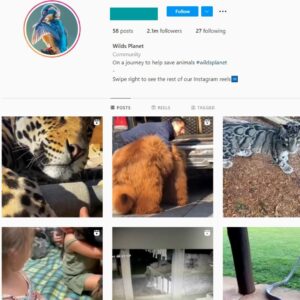 2.1M Wildlife Planet Instagram Account for Sale