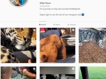 2.1M Wildlife Planet Instagram Account for Sale