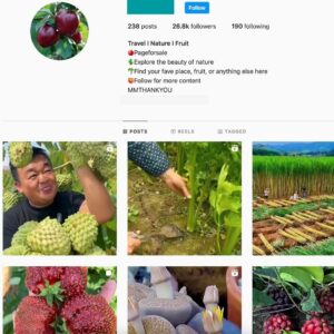 26K Nature Fruit Instagram Account for Sale