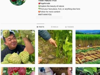 26K Nature Fruit Instagram Account for Sale