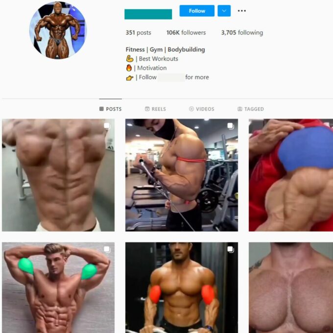 100K Fitness Gym Instagram Account for Sale