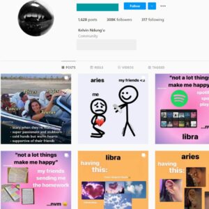 300K Zodiac Astrology Instagram Account for Sale