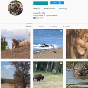 83K Animal Wildlife Instagram Account for Sale