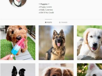 2K Puppy Lovers Instagram Account for Sale