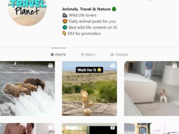 270K Travel Nature Animals Instagram Account for sale