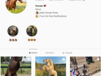 28k Horses Animals Instagram Account for sale