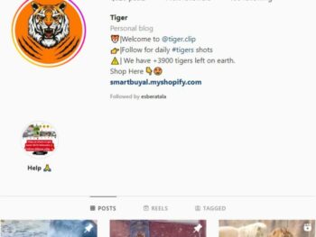 440k Animal Wildlife Instagram Account for sale