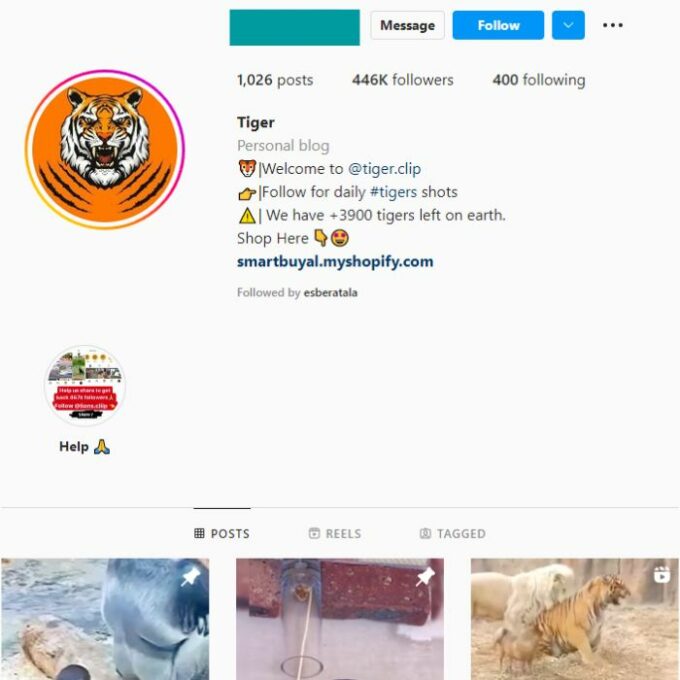 440k Animal Wildlife Instagram Account for sale