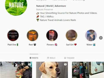 120K Travel Nature Animals Instagram Account for sale