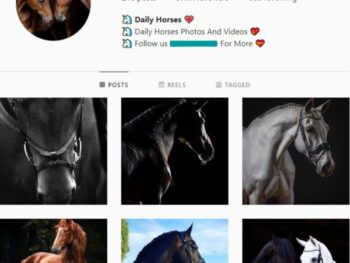 95k Horses Animals Instagram Account for sale