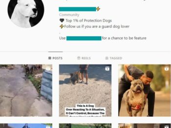 10k Guard Dogs Instagram Account for sale