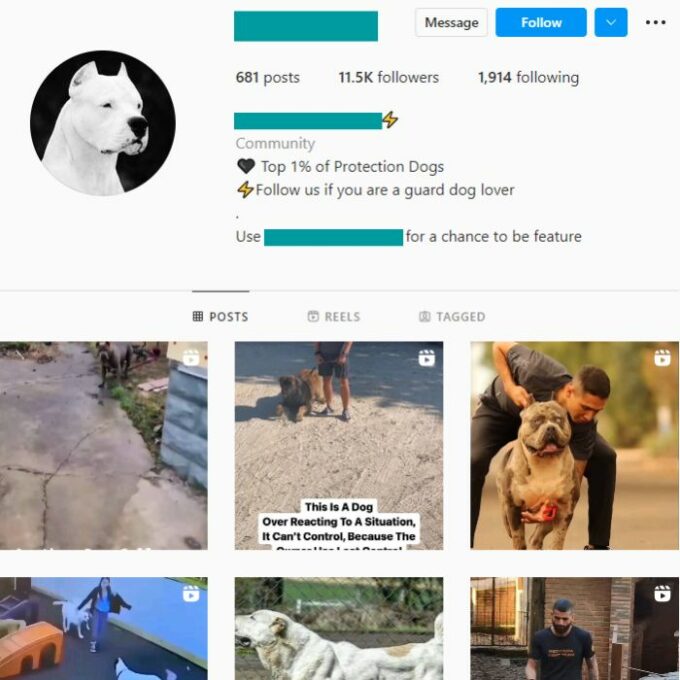 10k Guard Dogs Instagram Account for sale