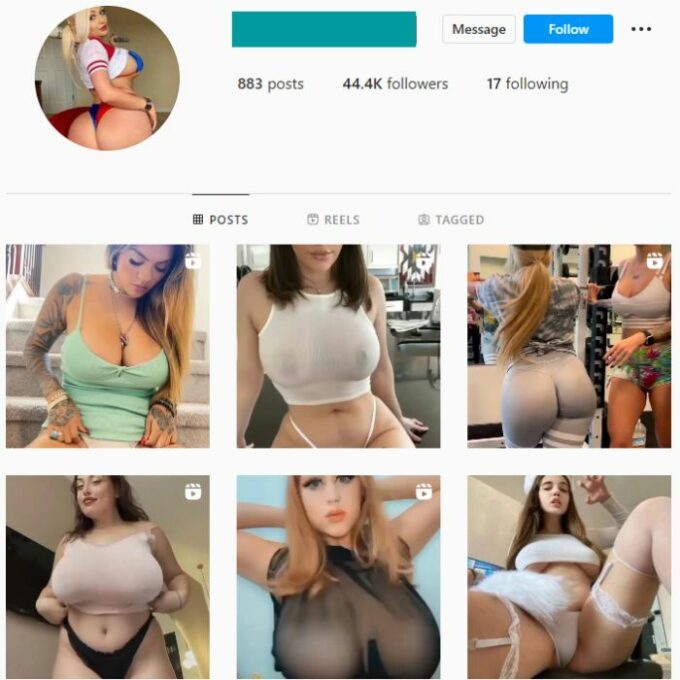 44K Babes Models Instagram Account for sale