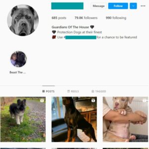 75k Guard Dogs Instagram Account for sale