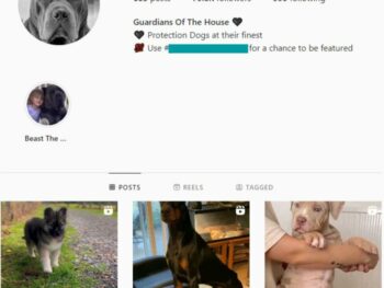 75k Guard Dogs Instagram Account for sale