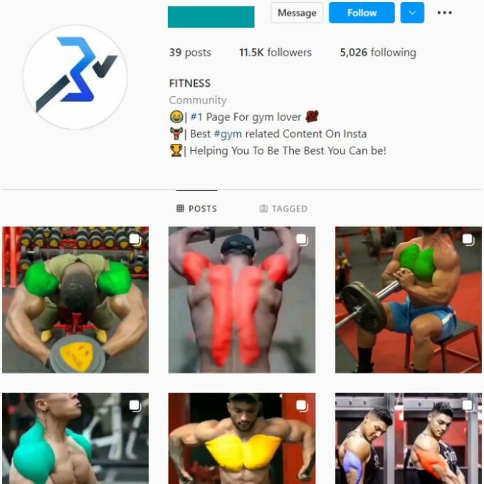 11K Bodybuilding Gym Instagram Account for sale