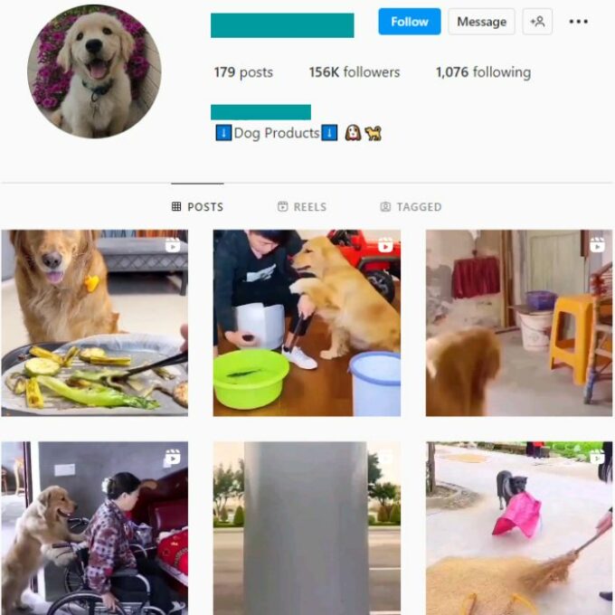 150k Dogs Pets Instagram Account for sale