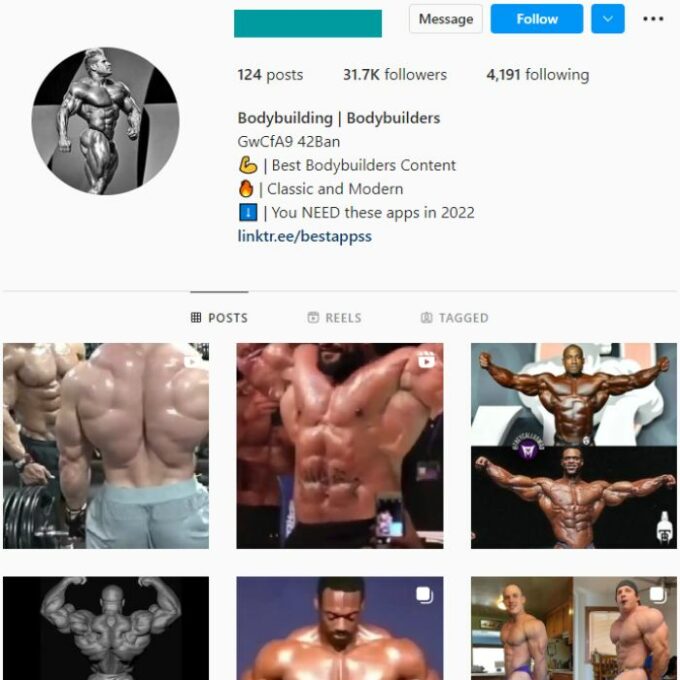 30K Bodybuilding Gym Instagram Account for sale