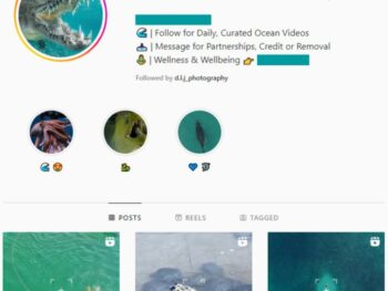 600K Ocean Wild Life Instagram Account for sale