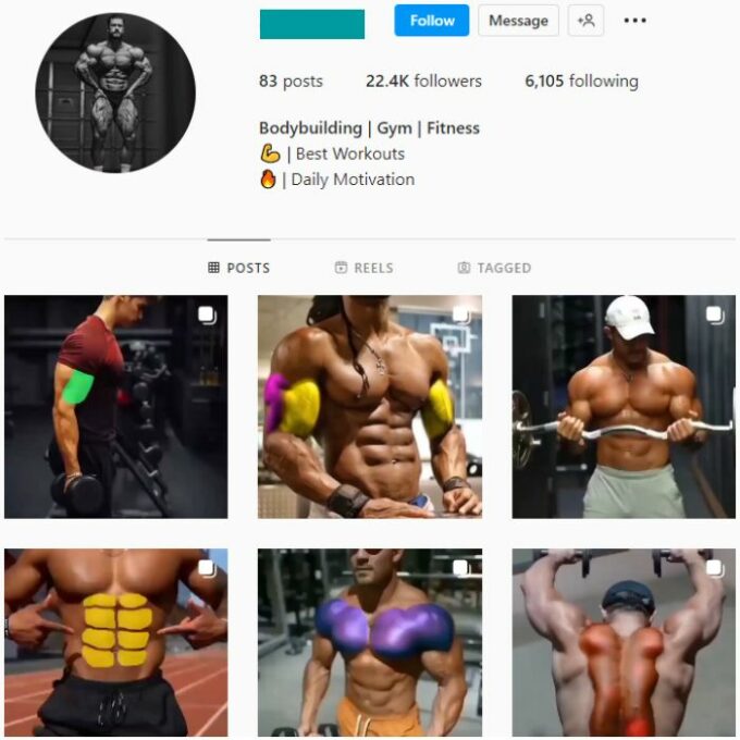 20K Bodybuilding Gym Instagram Account for sale