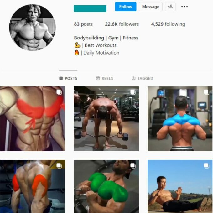 20K Bodybuilding Gym Instagram Account for sale