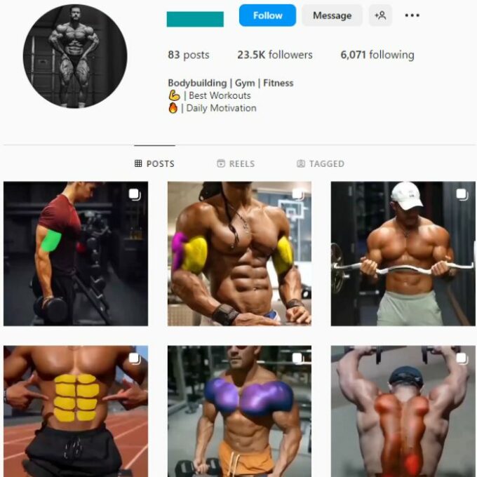 20K Male Fitness Gym Instagram Account for sale