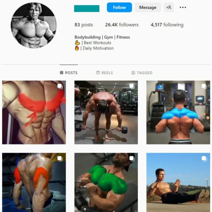 25K Male Fitness Gym Instagram Account for sale