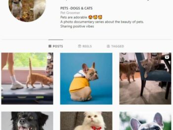 2K Pets Dog Instagram Account for sale