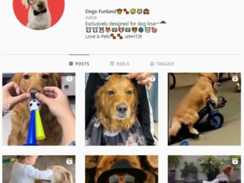 2K Pets Dog Instagram Account for sale