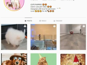 2K Pets Dog Instagram Account for sale